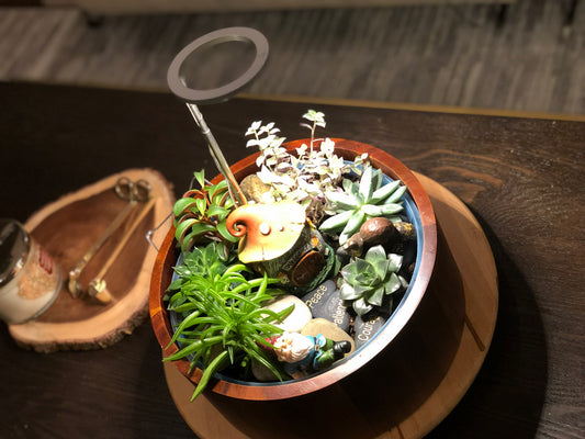 Dmonde tip # Lighting up house plants in style.